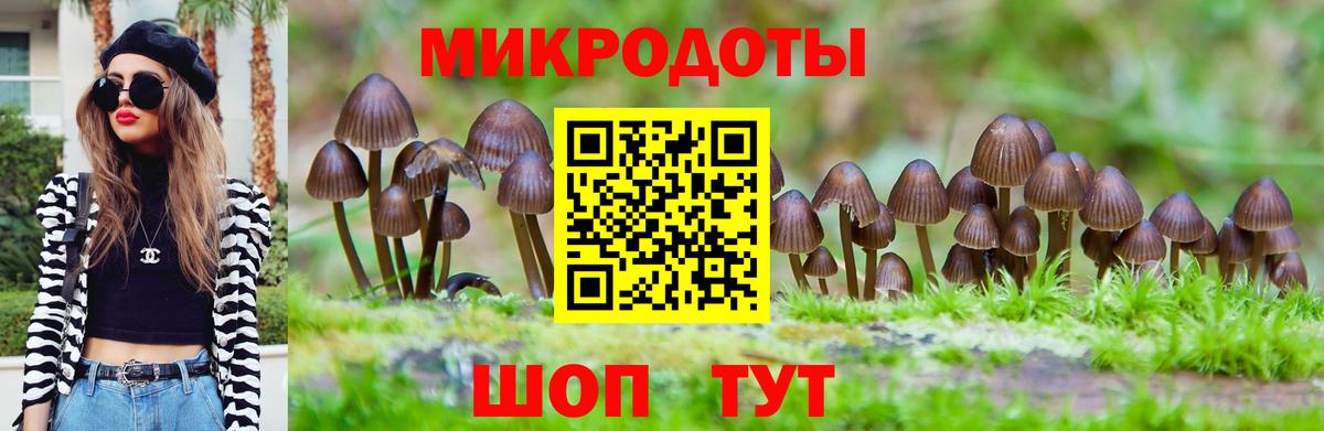 Галлюциногенные грибы Cubensis  Галлюциногенные грибы Psilocybine cubensis  Вход с VPN  Гатчина 